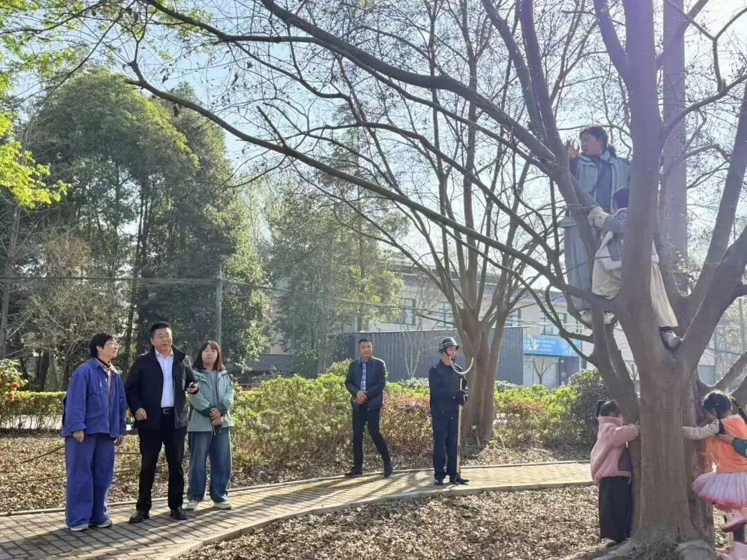 微信图片_20260304145826_2317_16.jpg
